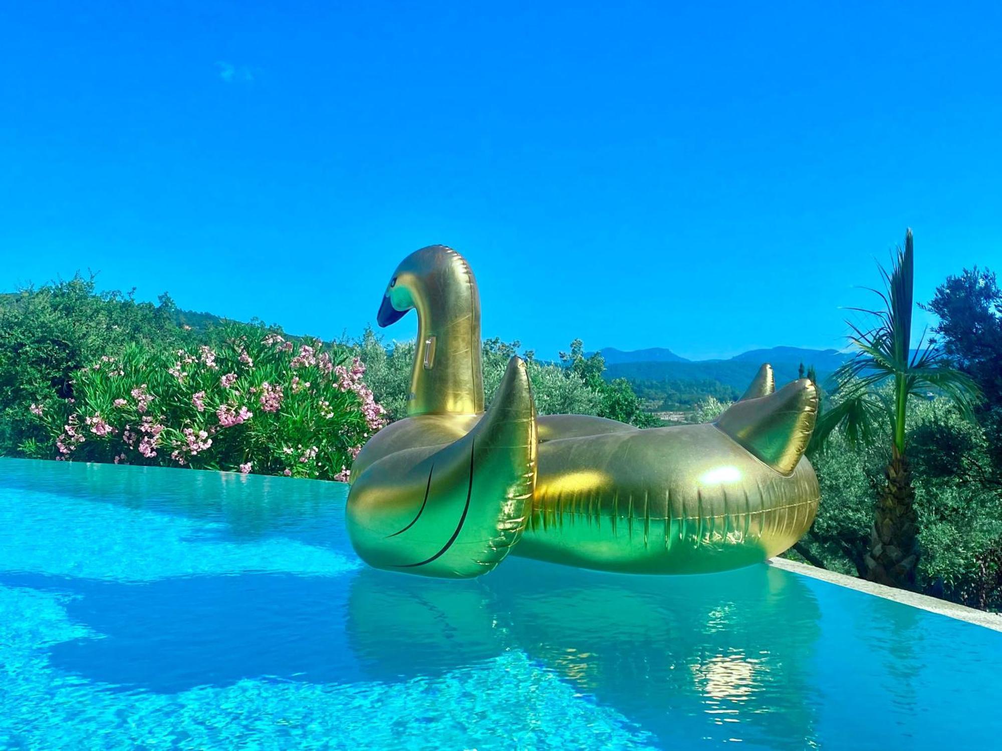 Les Lodges De Saint-Cassien 3 モントルー エクステリア 写真